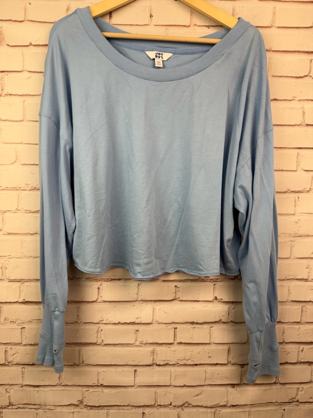 JoyLab Sky Blue Long-Sleeve Cropped Sweatshirt